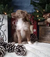 processed/90b7f225-f984-4590-8cde-0cc1cba4ded4/listing/1feabd87-3c87-4058-8800-b15c91d30e8b/7394607f-c248-41d2-bd55-4252bb23f51f