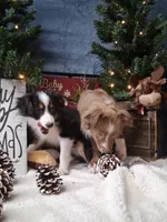 processed/90b7f225-f984-4590-8cde-0cc1cba4ded4/listing/1feabd87-3c87-4058-8800-b15c91d30e8b/9b112cc2-600d-4d0d-9e30-5641feada1c1