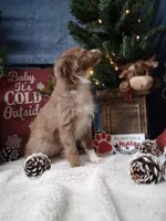 processed/90b7f225-f984-4590-8cde-0cc1cba4ded4/listing/1feabd87-3c87-4058-8800-b15c91d30e8b/a03232e1-d35d-4d06-9695-c6b9e90d0d23