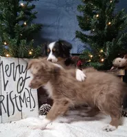 processed/90b7f225-f984-4590-8cde-0cc1cba4ded4/listing/1feabd87-3c87-4058-8800-b15c91d30e8b/dc350f59-1ca2-4f58-8363-f3f270560e69