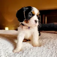 processed/90cf4e8e-6c9a-416f-af77-f1ec7d19d841/facility/b7e9f7ca-c679-4668-ad9c-9b41dee6c957