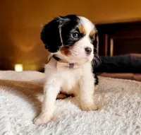 processed/90cf4e8e-6c9a-416f-af77-f1ec7d19d841/facility/b7e9f7ca-c679-4668-ad9c-9b41dee6c957