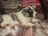 processed/90cf4e8e-6c9a-416f-af77-f1ec7d19d841/listing/20aebc38-cee1-4279-8f2d-bdefe892869a/2927a959-e2b2-4c6b-9148-d02e636b75fc