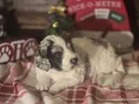 processed/90cf4e8e-6c9a-416f-af77-f1ec7d19d841/listing/20aebc38-cee1-4279-8f2d-bdefe892869a/a535b237-31c1-48c1-b113-f2b515b0636b