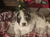 processed/90cf4e8e-6c9a-416f-af77-f1ec7d19d841/listing/20aebc38-cee1-4279-8f2d-bdefe892869a/a8080133-55e5-43cc-af09-7c5c11364544