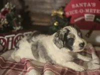 processed/90cf4e8e-6c9a-416f-af77-f1ec7d19d841/listing/20aebc38-cee1-4279-8f2d-bdefe892869a/b2509fb7-3d13-4a66-8589-d68c47876ccf