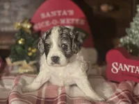 processed/90cf4e8e-6c9a-416f-af77-f1ec7d19d841/listing/20aebc38-cee1-4279-8f2d-bdefe892869a/bb58730a-0f29-4784-b0e8-49c53ff09c33