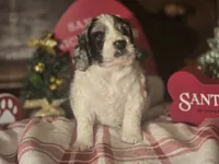 processed/90cf4e8e-6c9a-416f-af77-f1ec7d19d841/listing/20aebc38-cee1-4279-8f2d-bdefe892869a/c666878f-226d-4421-94b6-9582aacf99db