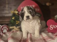 processed/90cf4e8e-6c9a-416f-af77-f1ec7d19d841/listing/20aebc38-cee1-4279-8f2d-bdefe892869a/e62a80aa-c5a3-48ee-a995-7397c12b7c12