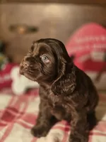 processed/90cf4e8e-6c9a-416f-af77-f1ec7d19d841/listing/2b57ddce-d32f-4b8f-9211-641dea8095ab/5378ec8b-8ea0-42c7-acc4-8ca70e086a6a