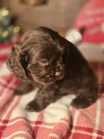 processed/90cf4e8e-6c9a-416f-af77-f1ec7d19d841/listing/2b57ddce-d32f-4b8f-9211-641dea8095ab/8f54feba-348d-4782-a26e-881fcc74e00a