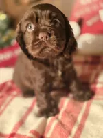 processed/90cf4e8e-6c9a-416f-af77-f1ec7d19d841/listing/2b57ddce-d32f-4b8f-9211-641dea8095ab/a9b8dac1-b36c-4923-9582-c97a1ddfc5d6