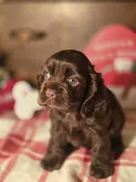 processed/90cf4e8e-6c9a-416f-af77-f1ec7d19d841/listing/2b57ddce-d32f-4b8f-9211-641dea8095ab/ba381b28-6eb6-48f1-814a-7795f459049f