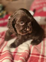 processed/90cf4e8e-6c9a-416f-af77-f1ec7d19d841/listing/2b57ddce-d32f-4b8f-9211-641dea8095ab/f1537ce5-e6bc-4d84-a09f-e2acf252ddc9