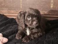 processed/90cf4e8e-6c9a-416f-af77-f1ec7d19d841/listing/3040e00f-7c8d-4013-ae16-0440f53a30c1/1d1e8e88-bc7a-4a4b-9708-079177b95925