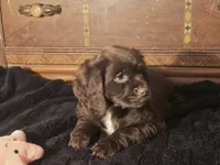 processed/90cf4e8e-6c9a-416f-af77-f1ec7d19d841/listing/3040e00f-7c8d-4013-ae16-0440f53a30c1/4b1c0ea1-f81d-4cc4-ac76-d9b79fd7c033