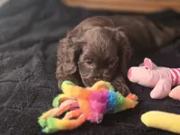 processed/90cf4e8e-6c9a-416f-af77-f1ec7d19d841/listing/3040e00f-7c8d-4013-ae16-0440f53a30c1/6f45f376-928e-4f48-9191-5904aa00e593