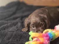 processed/90cf4e8e-6c9a-416f-af77-f1ec7d19d841/listing/3040e00f-7c8d-4013-ae16-0440f53a30c1/8367b22f-da0b-4df5-aec4-2c4ae52fb3cd