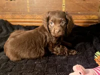 processed/90cf4e8e-6c9a-416f-af77-f1ec7d19d841/listing/3040e00f-7c8d-4013-ae16-0440f53a30c1/af5f1b14-1b4a-45e4-8638-d7523db3c09e