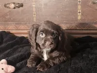 processed/90cf4e8e-6c9a-416f-af77-f1ec7d19d841/listing/3040e00f-7c8d-4013-ae16-0440f53a30c1/f1e67414-7e5c-4404-baeb-c3f5e2f02f66