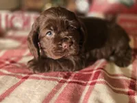 processed/90cf4e8e-6c9a-416f-af77-f1ec7d19d841/listing/362f4987-d35d-4c8c-a31a-64df6896d76a/050cd32b-d98b-4cad-bebc-7ec958febbec