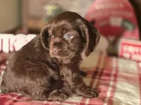 processed/90cf4e8e-6c9a-416f-af77-f1ec7d19d841/listing/362f4987-d35d-4c8c-a31a-64df6896d76a/69c63bbe-d520-4b84-9328-08ccf3b07a77