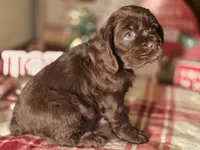 processed/90cf4e8e-6c9a-416f-af77-f1ec7d19d841/listing/362f4987-d35d-4c8c-a31a-64df6896d76a/79275fa1-971b-46ae-8cfc-d46d57a1694f