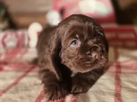 processed/90cf4e8e-6c9a-416f-af77-f1ec7d19d841/listing/362f4987-d35d-4c8c-a31a-64df6896d76a/933d334a-3938-45f5-a516-28bfc8766de0