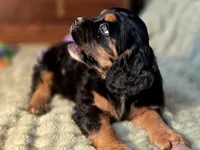 processed/90cf4e8e-6c9a-416f-af77-f1ec7d19d841/listing/416cf56a-38af-4a97-8244-e977558d0479/255687ba-19e7-4593-8aaf-0313db62c1da