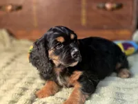 processed/90cf4e8e-6c9a-416f-af77-f1ec7d19d841/listing/416cf56a-38af-4a97-8244-e977558d0479/53d3defe-6dcc-4c54-b59f-68110251c2cf