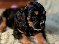 processed/90cf4e8e-6c9a-416f-af77-f1ec7d19d841/listing/416cf56a-38af-4a97-8244-e977558d0479/70e7ce44-c443-49bc-81c0-a733782de815