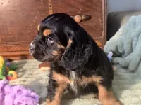 processed/90cf4e8e-6c9a-416f-af77-f1ec7d19d841/listing/416cf56a-38af-4a97-8244-e977558d0479/76ad75f9-0bef-4c3e-af41-ae14f44c5e70