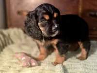 processed/90cf4e8e-6c9a-416f-af77-f1ec7d19d841/listing/416cf56a-38af-4a97-8244-e977558d0479/a2fac603-1add-4d11-b607-24812938be4c