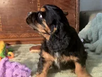 processed/90cf4e8e-6c9a-416f-af77-f1ec7d19d841/listing/416cf56a-38af-4a97-8244-e977558d0479/a3cf3dc0-d6cd-4dd1-8e68-7ecc1cd6221e