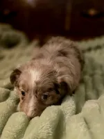 processed/90cf4e8e-6c9a-416f-af77-f1ec7d19d841/listing/42d5219e-10cc-4f52-b80c-91fb96ea9fdc/045cd896-8136-4a90-b417-09c83f2bc4ac