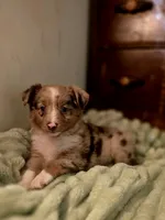 processed/90cf4e8e-6c9a-416f-af77-f1ec7d19d841/listing/42d5219e-10cc-4f52-b80c-91fb96ea9fdc/34fa7eb1-b329-4686-82f1-4d7d7f152293