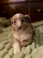 processed/90cf4e8e-6c9a-416f-af77-f1ec7d19d841/listing/42d5219e-10cc-4f52-b80c-91fb96ea9fdc/49a9ca37-79d2-4b7f-9994-02510672cb39