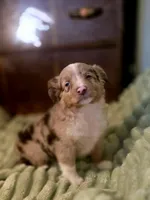 processed/90cf4e8e-6c9a-416f-af77-f1ec7d19d841/listing/42d5219e-10cc-4f52-b80c-91fb96ea9fdc/877db260-c078-44b0-b4f7-c78857c78ca5