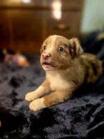 processed/90cf4e8e-6c9a-416f-af77-f1ec7d19d841/listing/42d5219e-10cc-4f52-b80c-91fb96ea9fdc/9002f9e3-5f64-41fb-bb07-dc5ee6884461