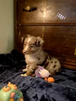 processed/90cf4e8e-6c9a-416f-af77-f1ec7d19d841/listing/42d5219e-10cc-4f52-b80c-91fb96ea9fdc/a4624d4f-14d8-4739-a94d-37eff299e444