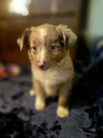 processed/90cf4e8e-6c9a-416f-af77-f1ec7d19d841/listing/42d5219e-10cc-4f52-b80c-91fb96ea9fdc/c7932531-61da-4d94-87c3-cbc94eaf170a