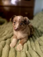 processed/90cf4e8e-6c9a-416f-af77-f1ec7d19d841/listing/42d5219e-10cc-4f52-b80c-91fb96ea9fdc/c82e72c1-138a-48f4-8938-49d1fd4dd71b