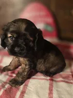 processed/90cf4e8e-6c9a-416f-af77-f1ec7d19d841/listing/4de8f35a-c3cd-4a36-89a4-9211581750ae/436507ec-4b34-4dac-b713-5d2c1b56f34a