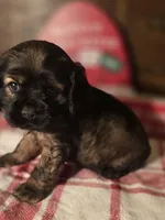 processed/90cf4e8e-6c9a-416f-af77-f1ec7d19d841/listing/4de8f35a-c3cd-4a36-89a4-9211581750ae/47bd4b95-499d-4418-bc98-1dc97fd99e8e