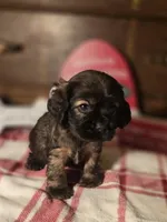 processed/90cf4e8e-6c9a-416f-af77-f1ec7d19d841/listing/4de8f35a-c3cd-4a36-89a4-9211581750ae/82b870b7-48c8-4828-9eea-d29a00037322