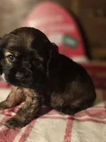 processed/90cf4e8e-6c9a-416f-af77-f1ec7d19d841/listing/4de8f35a-c3cd-4a36-89a4-9211581750ae/95f2ca61-84e8-4c1f-8c6e-8dc23586d7e8