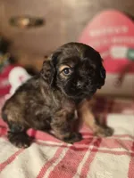 processed/90cf4e8e-6c9a-416f-af77-f1ec7d19d841/listing/4de8f35a-c3cd-4a36-89a4-9211581750ae/ffe2c58e-9fa4-4b49-9462-39a94f04e578