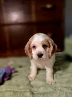 processed/90cf4e8e-6c9a-416f-af77-f1ec7d19d841/listing/5a0648cc-e147-47d8-9713-488caa6dd6e9/538a1c63-21f3-4919-84c8-856c5833f3d4