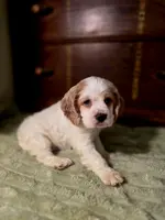 processed/90cf4e8e-6c9a-416f-af77-f1ec7d19d841/listing/5a0648cc-e147-47d8-9713-488caa6dd6e9/f371e9cb-526e-496a-a71f-0c165cd87e1b