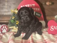 processed/90cf4e8e-6c9a-416f-af77-f1ec7d19d841/listing/73077059-cc94-4cab-a9c1-727bfb40530d/0b6a27da-dc49-469d-b871-49abc3f71eab